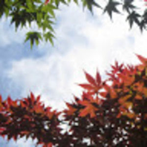 Meet your Posher, Lyn